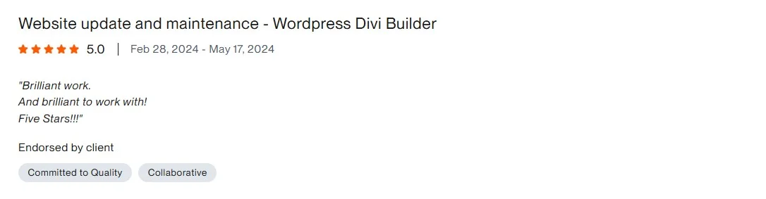 Clutch review: DIVI Webdesigner, improve existing WordPress websites - 5.0